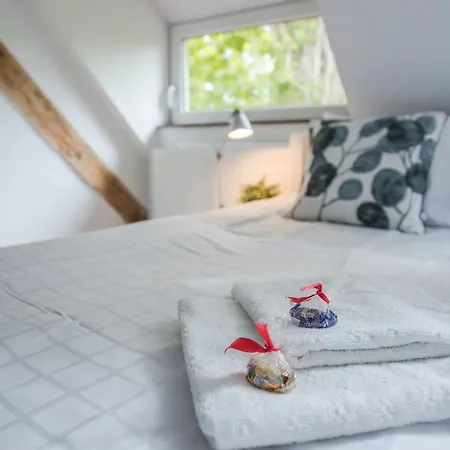 Fitness Premium Hostel Vratislav